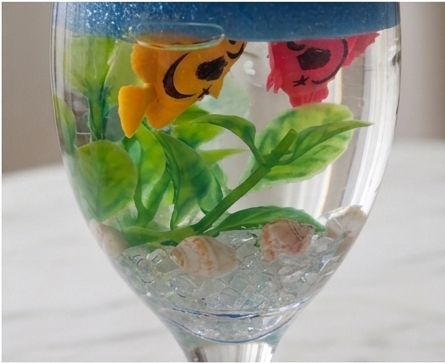 Close-up of suspended fish, coral plants and shells inside the clear gel wax
